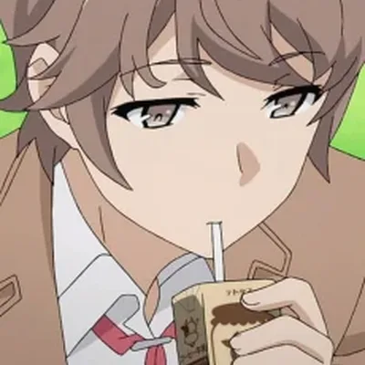 Sakuta Azusagawa