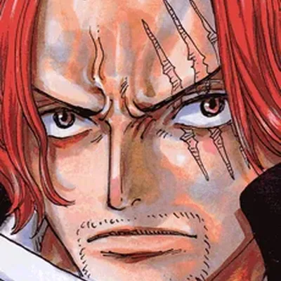 Shanks